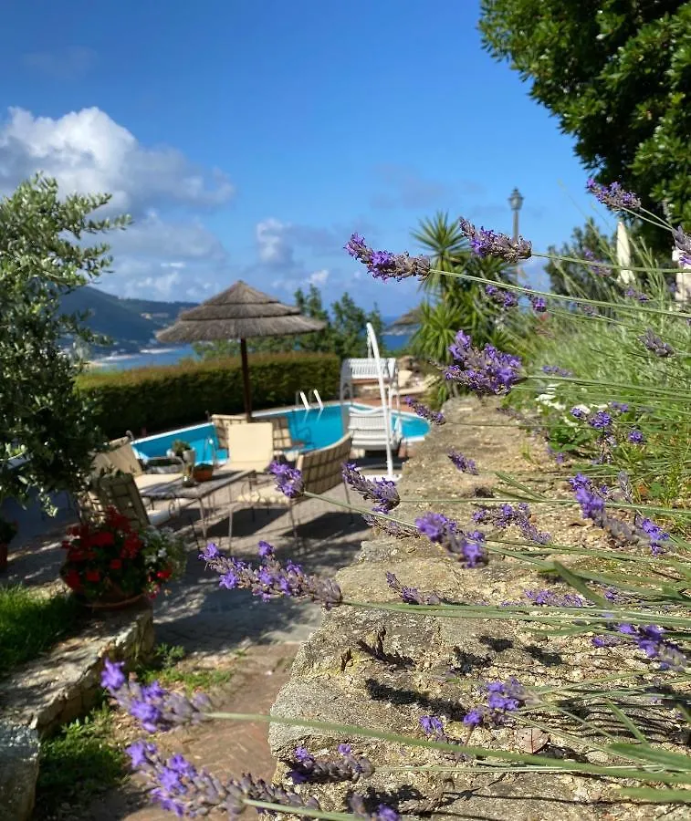 Paradiso Di Manu Noli