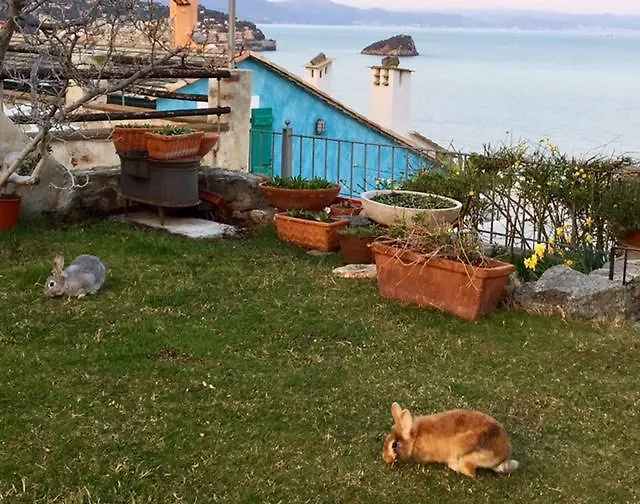 Paradiso Di Manu Noli Hotel
